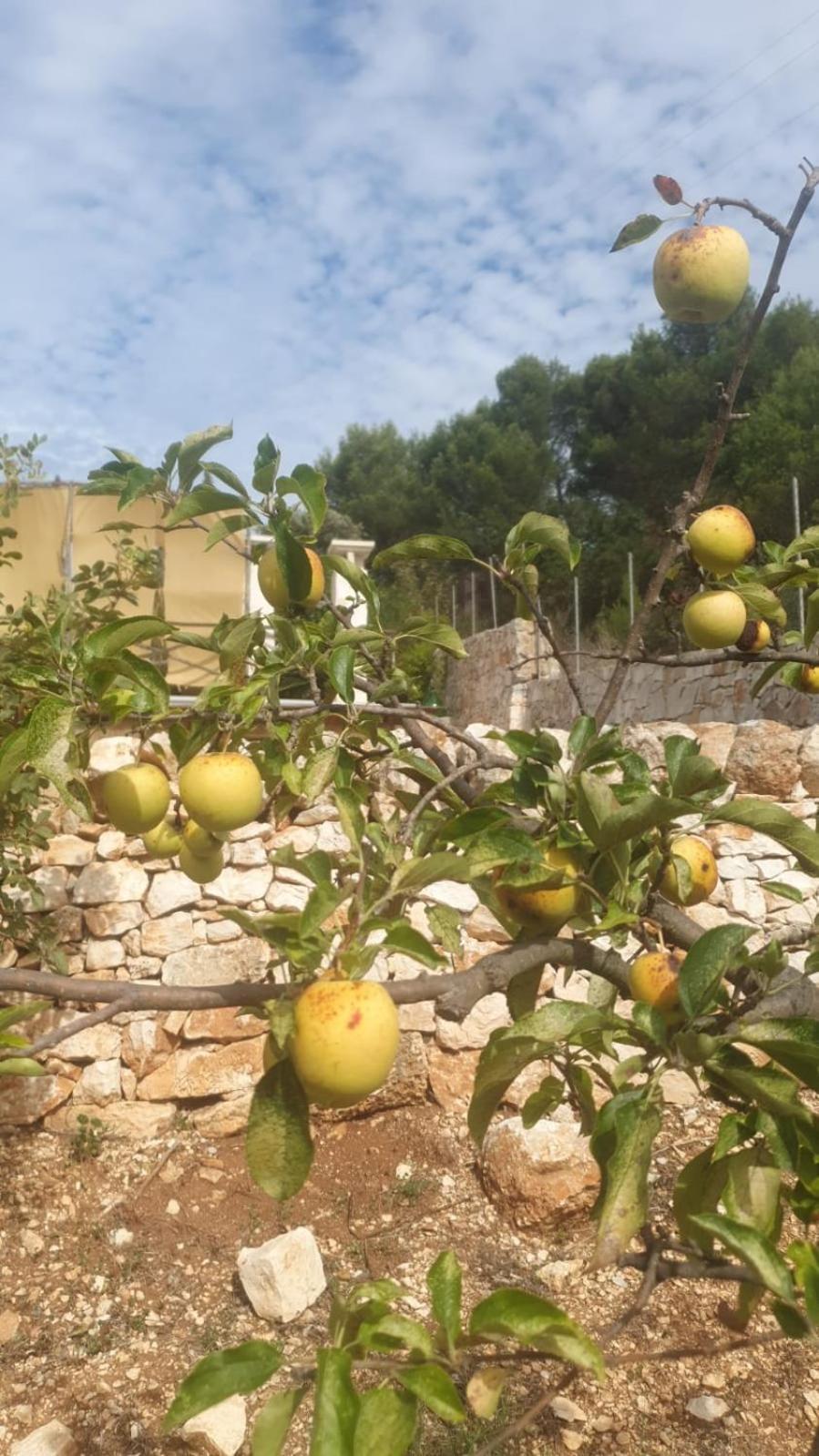 Vila Trulli Vittoria Fasano Exteriér fotografie